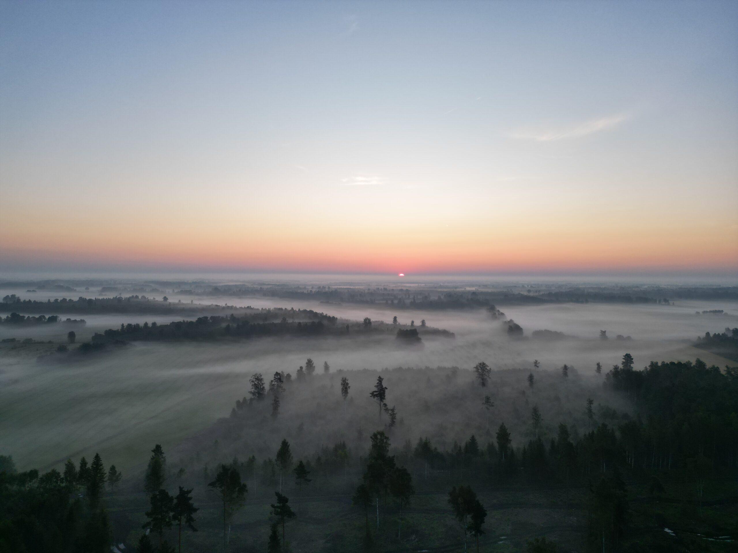 one-day journey in the Estonian wilderness.